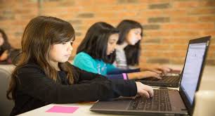Mind or Money: The True Purpose of Education