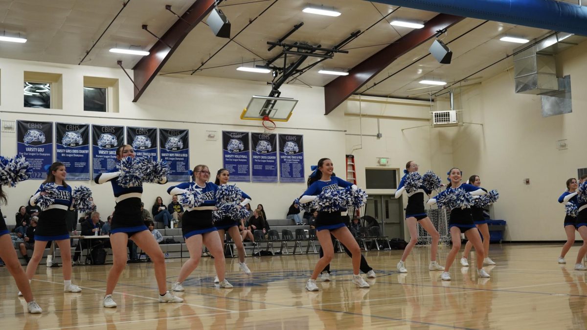 The cheer squad during their enlivening performance; of those identifiable in the photo, from left to right: Allie Ward, Madison Henry, Paige Dearth, Maurissa Clift, Ava Patane, Jett Young (behind the proximate), Adelaide "Addie" Johnson, Stacey Hickman, Charlie Jonsson and Elena Cuny.