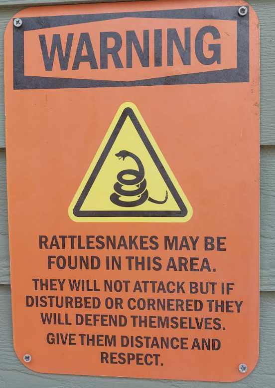 Rattled to the CORE